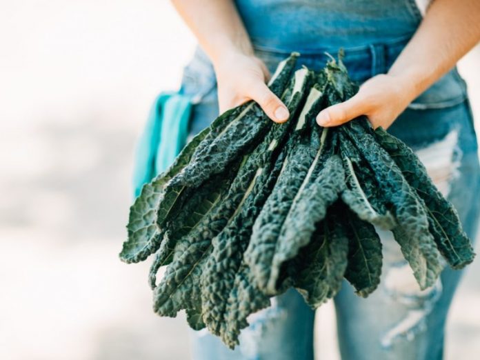 kale-800x600-696x522