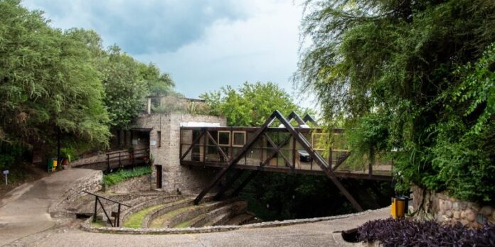 ULA Universidad Libre Ambiente