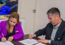 Del viñedo a la copa: la UPC forma profesionales para la industria vitivinícola